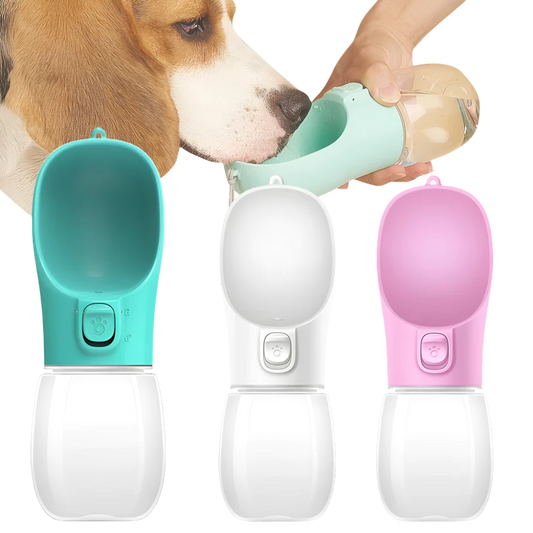 QuickSip Dog Bottle