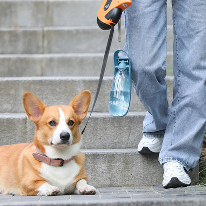 QuickSip Dog Bottle 2.0