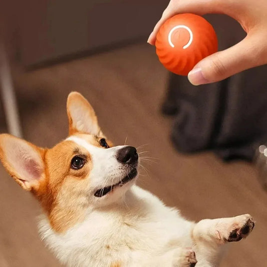 PuppyPlay Motion Ball